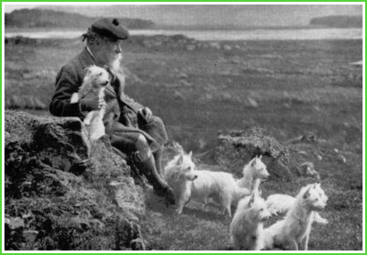 Col. Edward Donald Malcolm e i suoi Poltalloch Terriers, circa 1905 - 1
